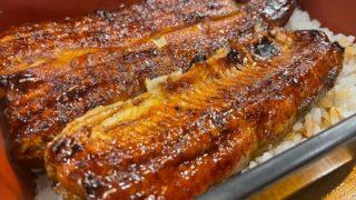 おいしい蒲焼丼