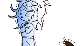 ぎゃーゴキブリ！！